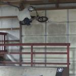 Mad Mike’s Greatest Hits – Uncovered BMX